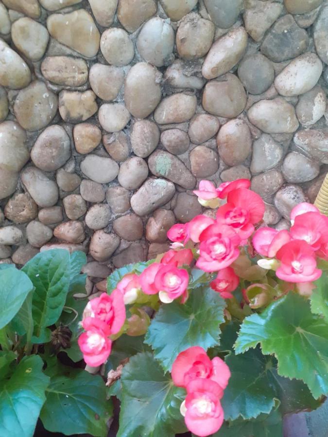 Pousada Recanto Das Flores Прая-ди-Моитас Экстерьер фото